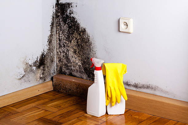 Local water damage restoration in Kentland, IN